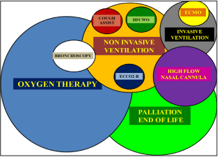 Ventilator Support and Oxygen Therapy in Palliative and End-of-Life Care in the Elderly